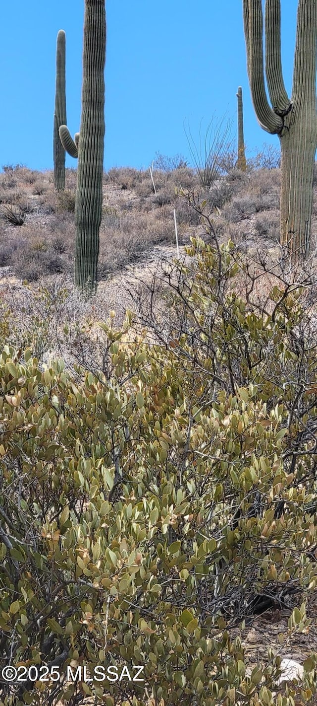 4790 N El Adobe Ranch Rd, Tucson, AZ 85745