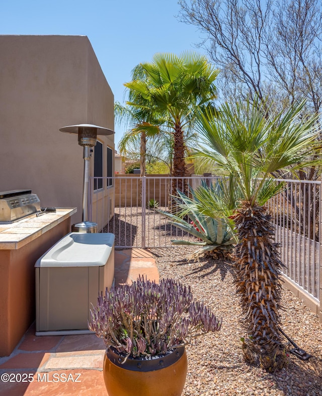 view of yard with fence and an outdoor kitchen