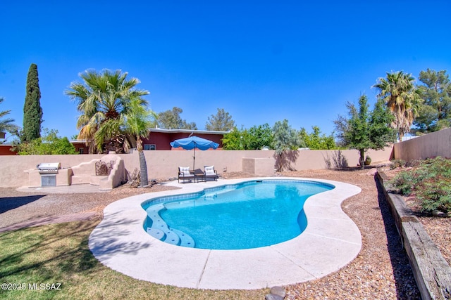 view of swimming pool featuring a fenced in pool, a patio area, and a fenced backyard