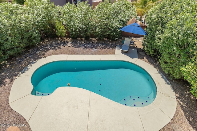 pool with a patio area