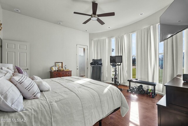 3167 N Corona Pl, Nogales, AZ 85621 - bedroom featuring a ceiling fan, dark wood-style flooring, and multiple windows
