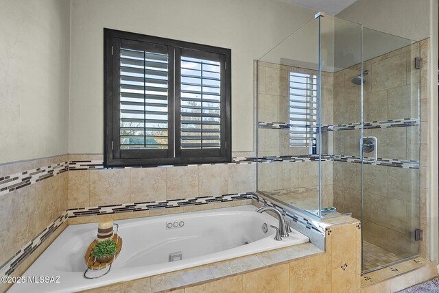 3167 N Corona Pl, Nogales, AZ 85621 - full bath with a shower stall, plenty of natural light, and a bath