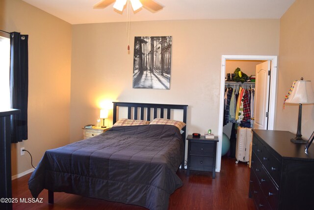 bedroom featuring a closet, wood finished floors, and a spacious closet