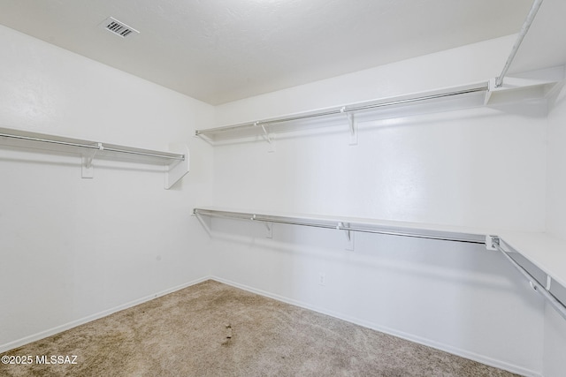 spacious closet featuring visible vents and carpet flooring