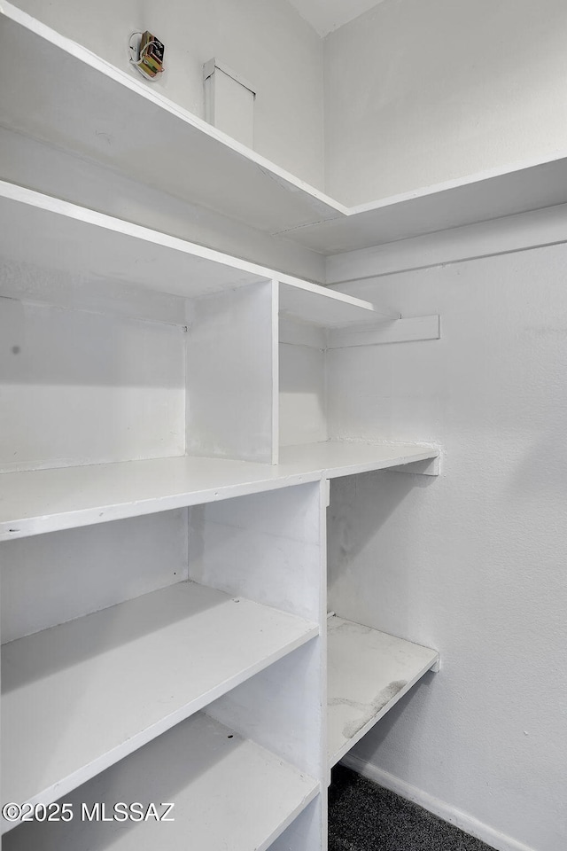 2172 N Pantano Rd Unit 217, Tucson, AZ 85715 - view of pantry