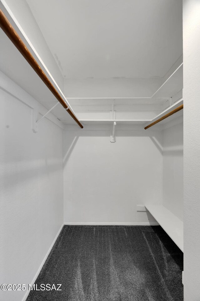2172 N Pantano Rd Unit 217, Tucson, AZ 85715 - spacious closet with carpet