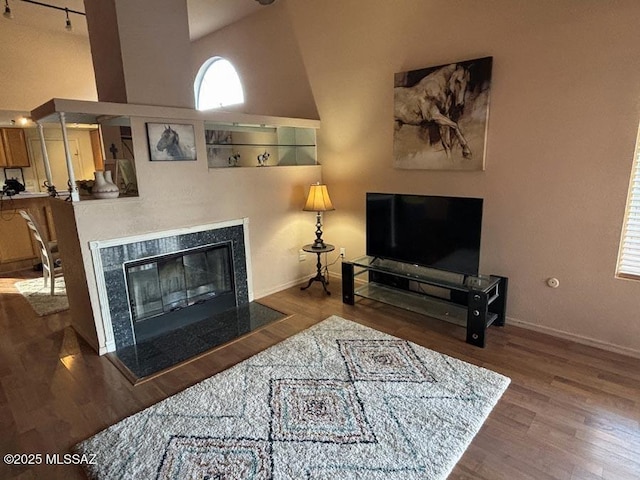 living room with baseboards, high vaulted ceiling, wood finished floors, and a premium fireplace