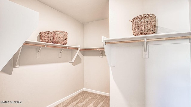 spacious closet featuring carpet flooring