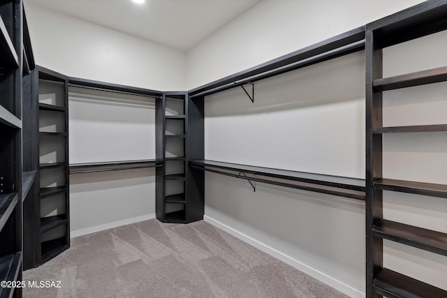 2891 N Wentworth Rd, Tucson, AZ 85749 - walk in closet with carpet flooring