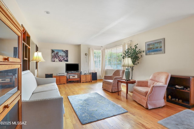 living room featuring light wood-style floors