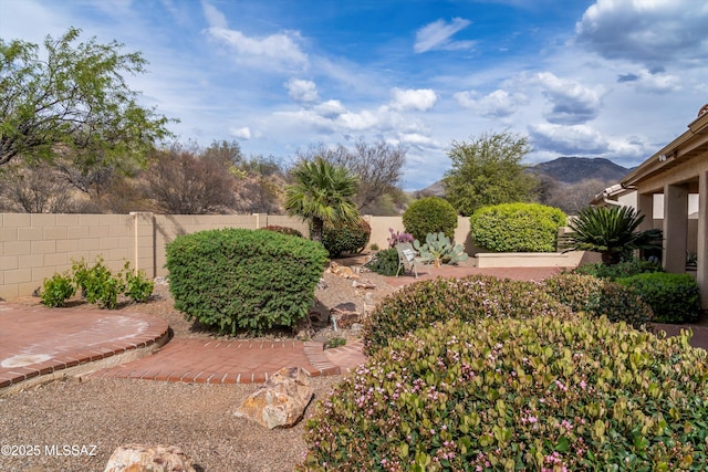 view of yard featuring a mountain view, a patio area, and a fenced backyard