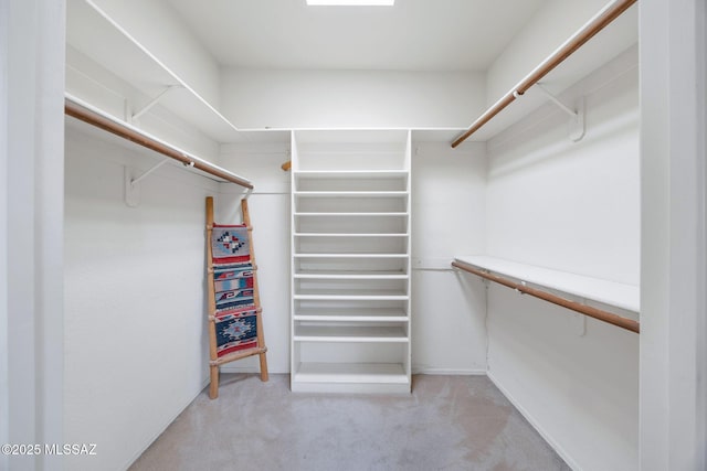 spacious closet with light colored carpet