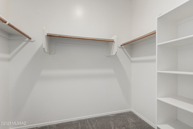 spacious closet with carpet floors