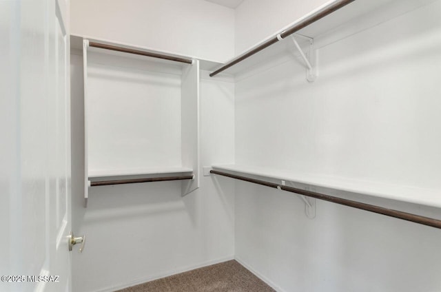 spacious closet with carpet flooring