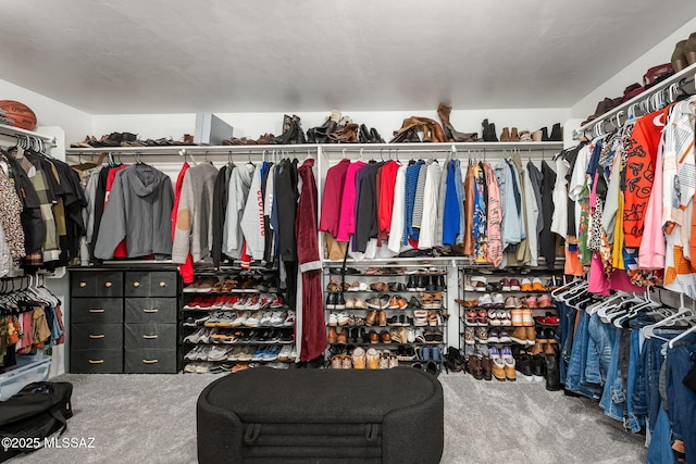 10150 S Rolling Water Dr, Vail, AZ 85641 - walk in closet with carpet floors