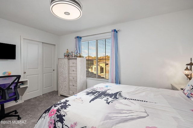 10150 S Rolling Water Dr, Vail, AZ 85641 - carpeted bedroom with a closet