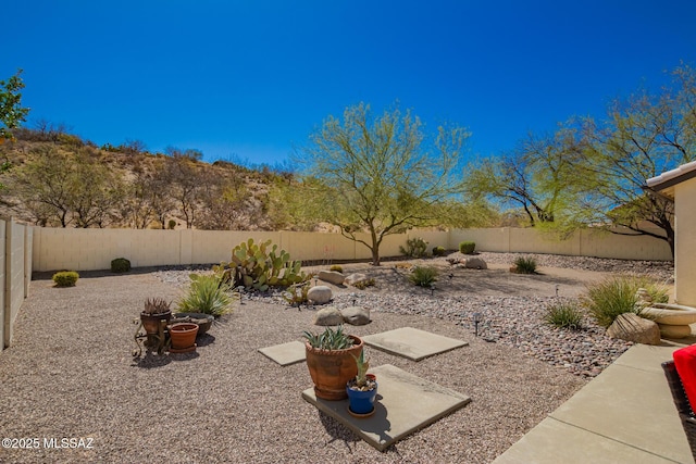 view of yard featuring a fenced backyard and a patio area