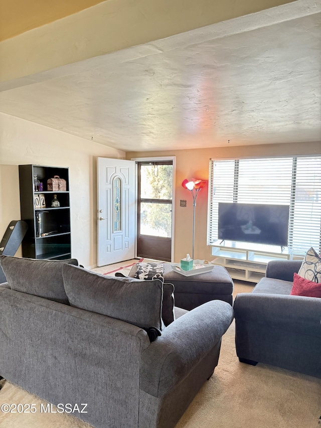 6902 E Calle Neptuno, Tucson, AZ 85710 - view of living room