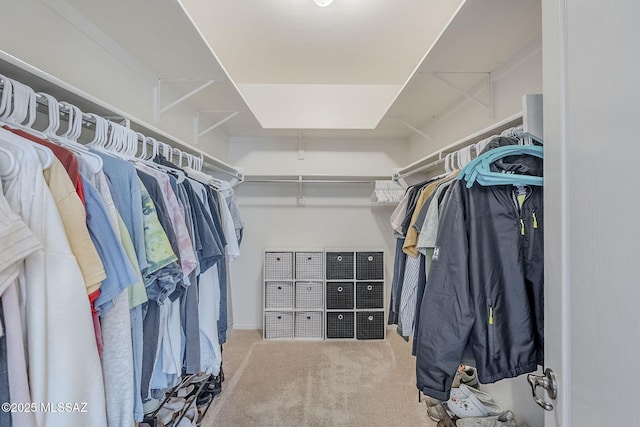 spacious closet with carpet floors