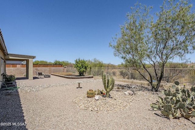 view of yard featuring a fenced backyard and a patio area