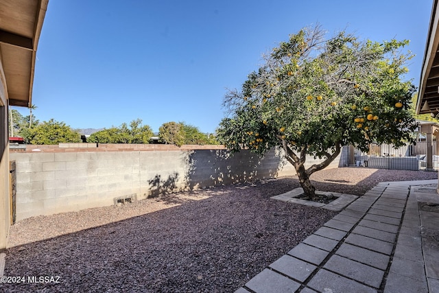 view of yard featuring a fenced backyard and a patio area