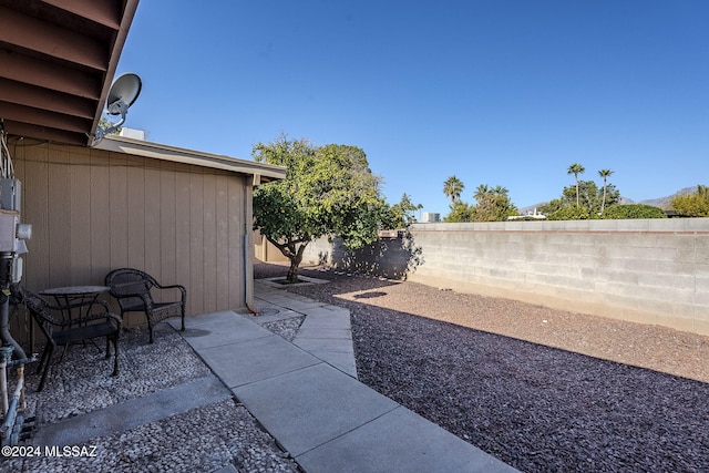 view of yard featuring a fenced backyard and a patio area