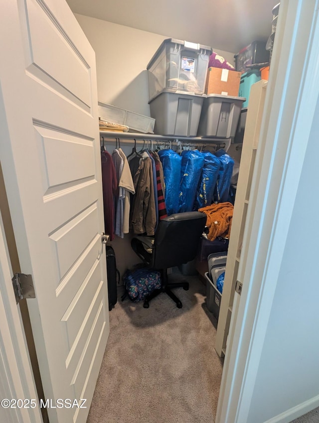 walk in closet featuring carpet floors