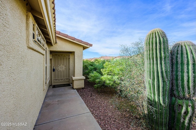 entrance to property featuring a tile roof and stucco siding