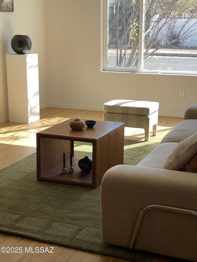 living room with baseboards and wood finished floors