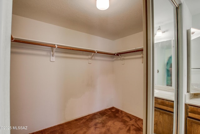 spacious closet with dark colored carpet