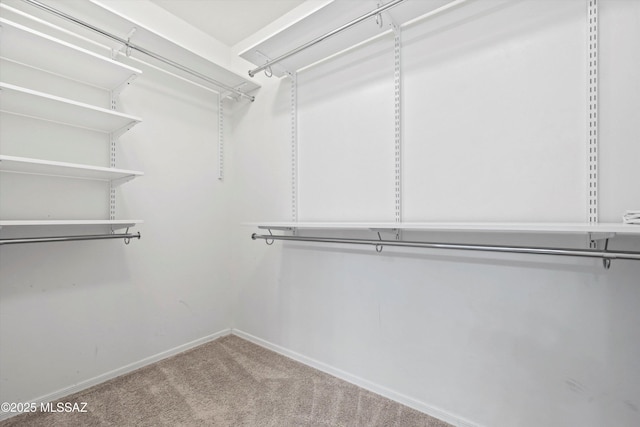 12272 W Reyher Farms Loop, Marana, AZ 85653 - walk in closet with carpet floors