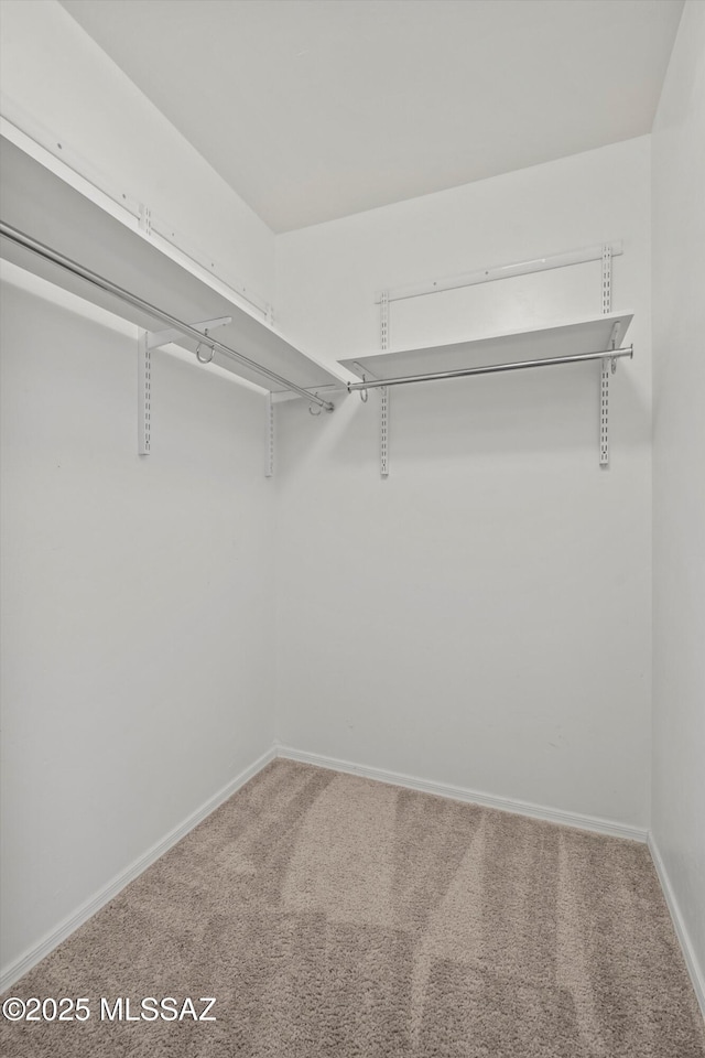 12272 W Reyher Farms Loop, Marana, AZ 85653 - walk in closet with carpet