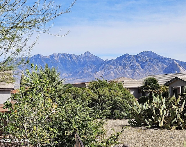 view of mountain feature