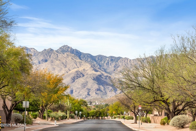 view of mountain feature