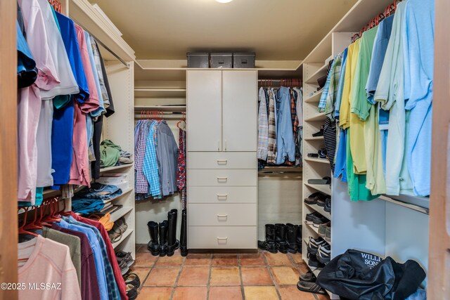 view of walk in closet