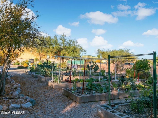 view of playground featuring fence and a vegetable garden