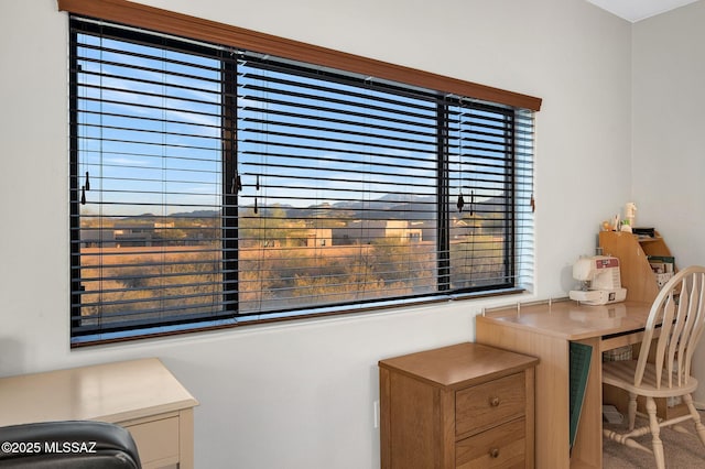 home office with a wealth of natural light