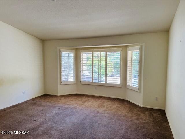 1370 N Birds Nest Rd, Green Valley, AZ 85614 - empty room featuring carpet floors and baseboards