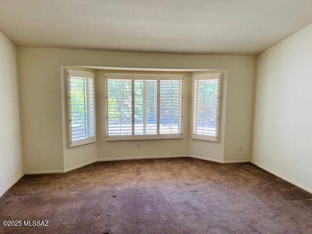 1370 N Birds Nest Rd, Green Valley, AZ 85614 - empty room with carpet floors and baseboards