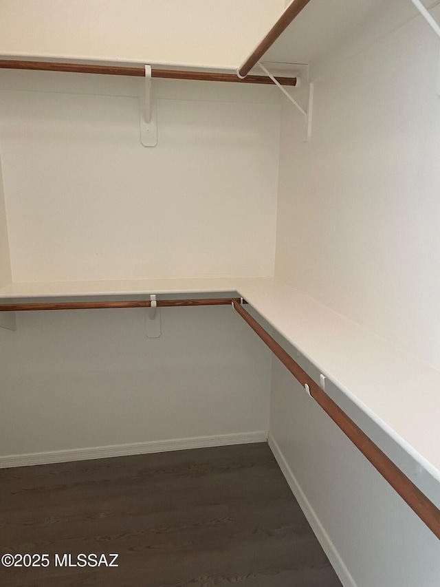 6610 S Via Molino De Viento, Tucson, AZ 85757 - spacious closet with dark wood-style floors