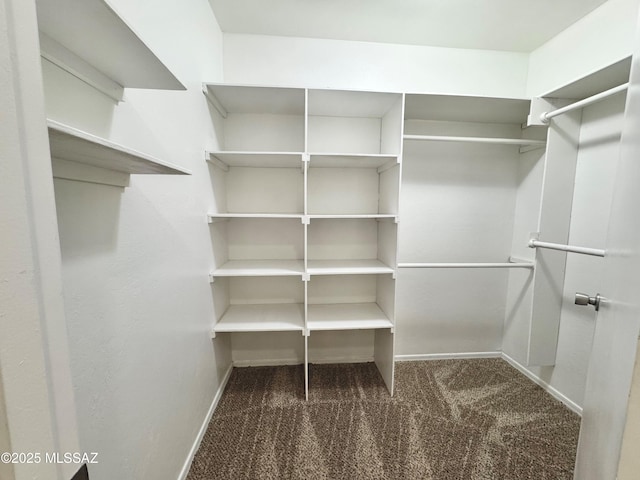 spacious closet with carpet flooring