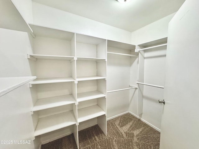 walk in closet with dark colored carpet