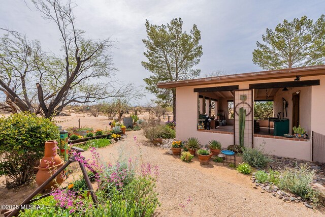 view of yard featuring a patio area