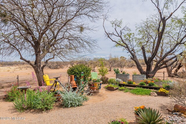 view of yard featuring a vegetable garden