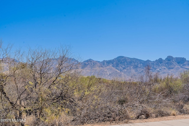 property view of mountains