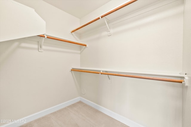 5751 N Kolb Rd Unit 2101, Tucson, AZ 85750 - walk in closet featuring light colored carpet