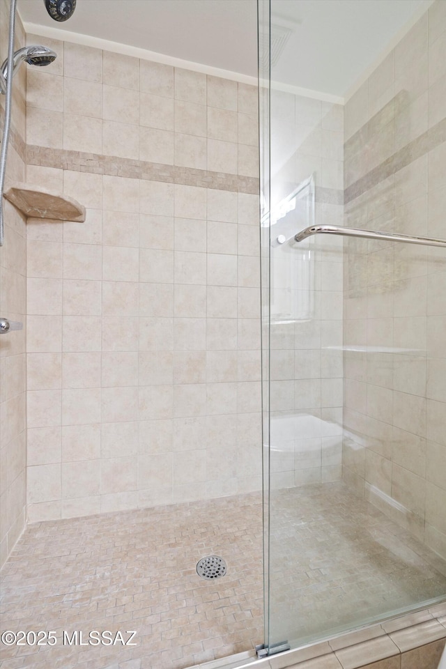 5751 N Kolb Rd Unit 2101, Tucson, AZ 85750 - bathroom with a tile shower