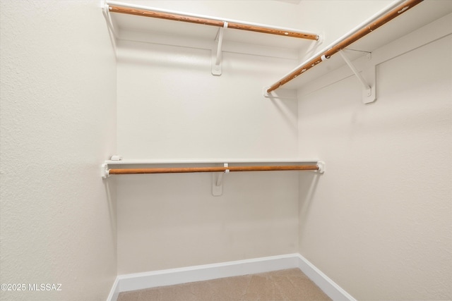5751 N Kolb Rd Unit 2101, Tucson, AZ 85750 - spacious closet featuring light colored carpet