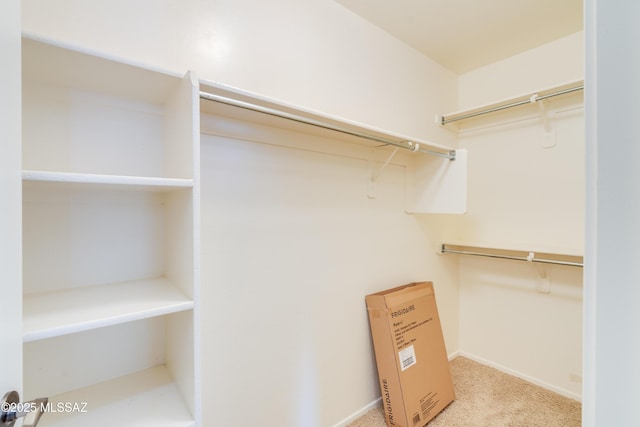 spacious closet featuring carpet flooring