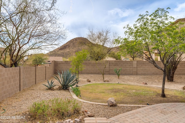 view of yard with a fenced backyard and a mountain view